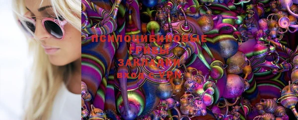 тгк Щигры