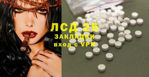 прущие грибы Кедровый